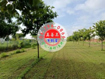 *真善美不動產仲介社* NO.4747西港有合法資材室農地