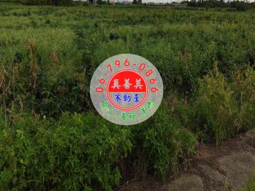 *真善美不動產仲介社* NO.4753佳里適農保1.1分農地