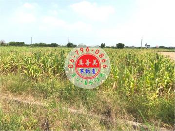 *真善美不動產仲介社* NO.3842 *下殺*西港1.9分雙面路農地