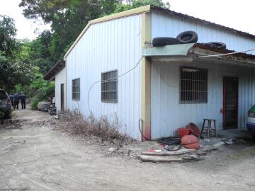 霧峰南坑臨路休閒果園農林地