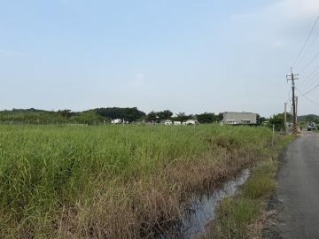 關廟深坑子有水電農場