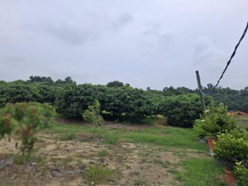 高雄文山買屋 關廟413坪優質農地