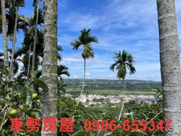 東勢房屋 東勢市區檳榔園24
