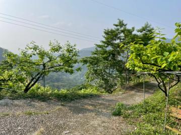 東勢房屋 軟鼻坑休閒甜柿園67