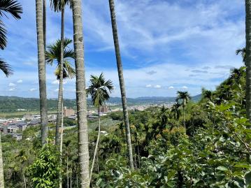 東勢房屋 東勢市區香蕉檳榔園75
