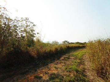 龍井區｜龍新路旁方正土地｜306坪大地坪｜低總價置產｜總價698萬