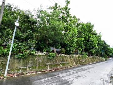 豐原區｜富陽路旁40米大面寬農建地｜臨5米活路｜近國四｜總價2980萬