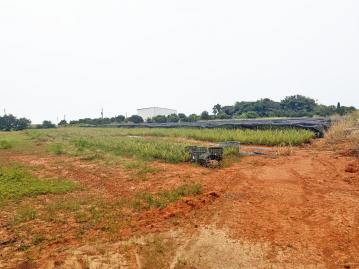 沙鹿區｜國際機場門戶特區西勢段農地｜859坪大面積｜總價4215萬 