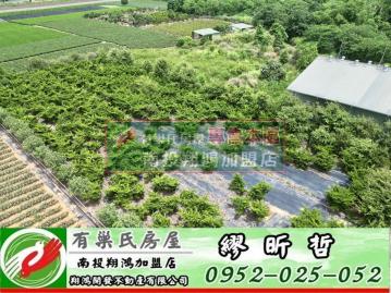 南投買房 名間田仔方正有水電2.98分農地