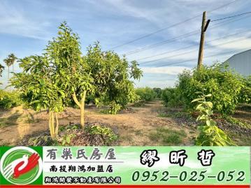 南投買房 南投市普賢行院旁方正5.4分農地