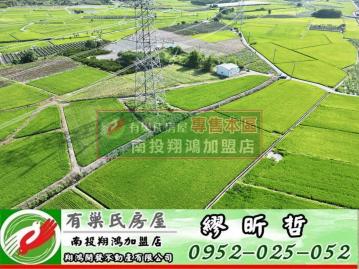南投買房 名間外埔｜4.28分方正平坦稻香農地