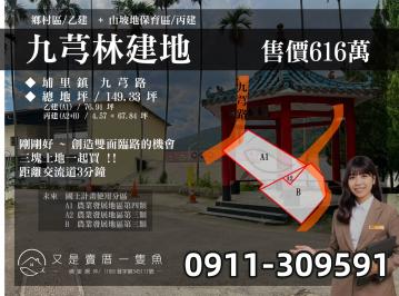 埔里買地│埔里建地出售│三塊地一起買│又是賣厝一隻魚