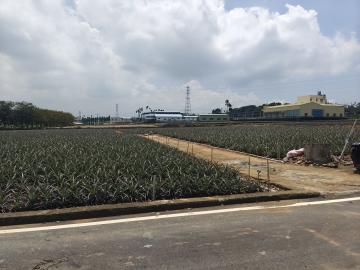 南投不動產 南投名間三光近交流道方正平坦美農地