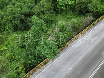 南投不動產 雲林.林內鄉仁愛大路旁低價位巧農地