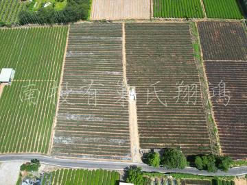 南投不動產 南投名間三光近交流道方正平坦美農地