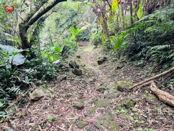桃園 慈湖都內農地