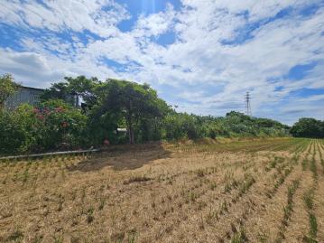 新屋啟文段 農地+資材室 南崁房地達人