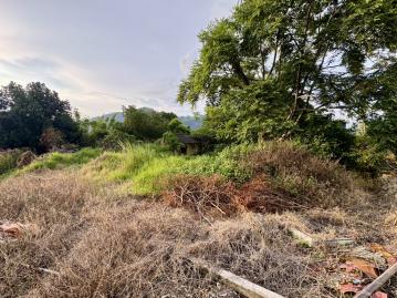 草屯雙冬游泳池旁丙建地 南投土地透天