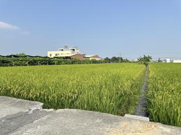 ❤️草屯史館路旁｜經濟坪數｜一分農地 南投土地透天