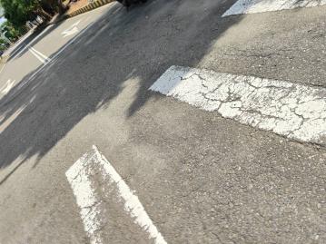 高鐵社頭段產專二 彰化高鐵買地