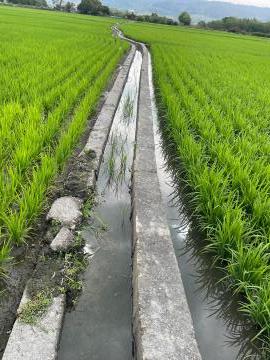 社頭里仁農保田 彰化高鐵買地 