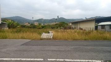田中新太平段建地 彰化高鐵買地 