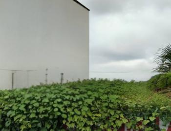 新民新福美建地 彰化高鐵買地 