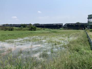 近台南高鐵長榮大學428坪美農地C014 永康找房推薦