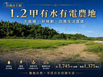 台南房地小賢 山上區石子崎段1.2甲有水有電農地
