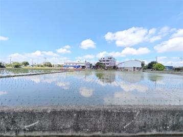 神岡☀國四交流道旁★方正田~ 豐原房仲推薦