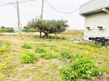 台江四草兩千坪遊樂區休閒農地