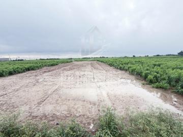 鹽水25米中央公路旁雙臨路美農地