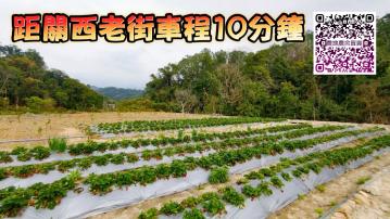 距關西老街十分鐘｜全平坦770坪景觀美地