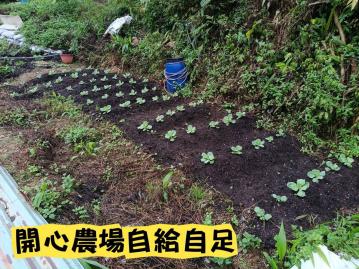 新北新店｜有山泉水的開心農場｜882坪稀有釋出