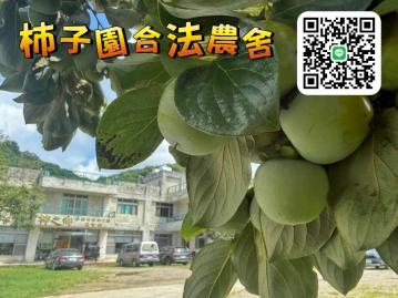 沿山道柿子園合法農舍｜現成餐廳莊園