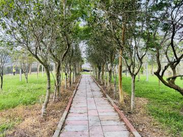 卓蘭農地送農舍 豐原土地房屋 張美慧 0920897795