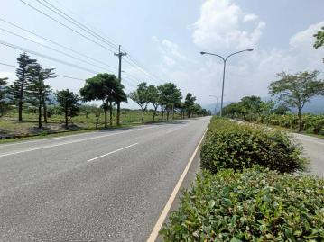 B1160東華大學附近合法溫室