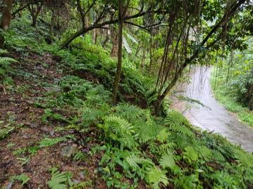 B840水源地山上原保農地地勢平坦