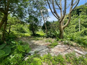 龍潭三坑美地典藏 近看生態公園遠眺山色