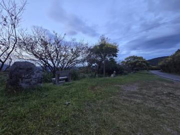 桃園廠房軍師~汐止姜子寮段農林地 