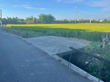 大里夏田西段黃金農地(2)