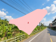 高雄房地專家 內門5.74分農地 照片 1