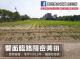苗栗後龍|雙面臨路隱密美田 照片 5