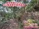 998萬合法別墅+農地|土地近3千坪 照片 6
